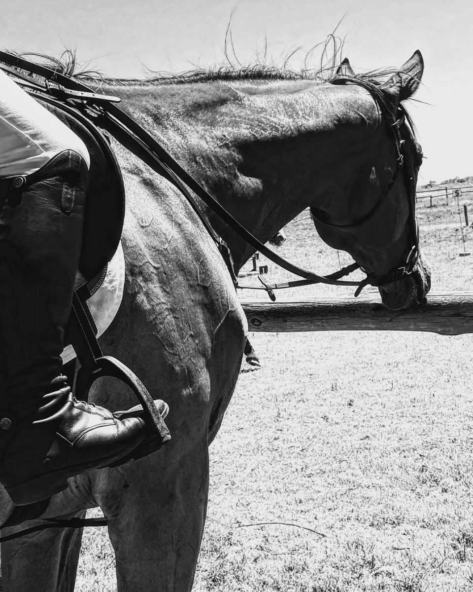 Photo by EquestrianGoddess1
