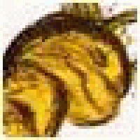 Profile picture of BernardPlugs